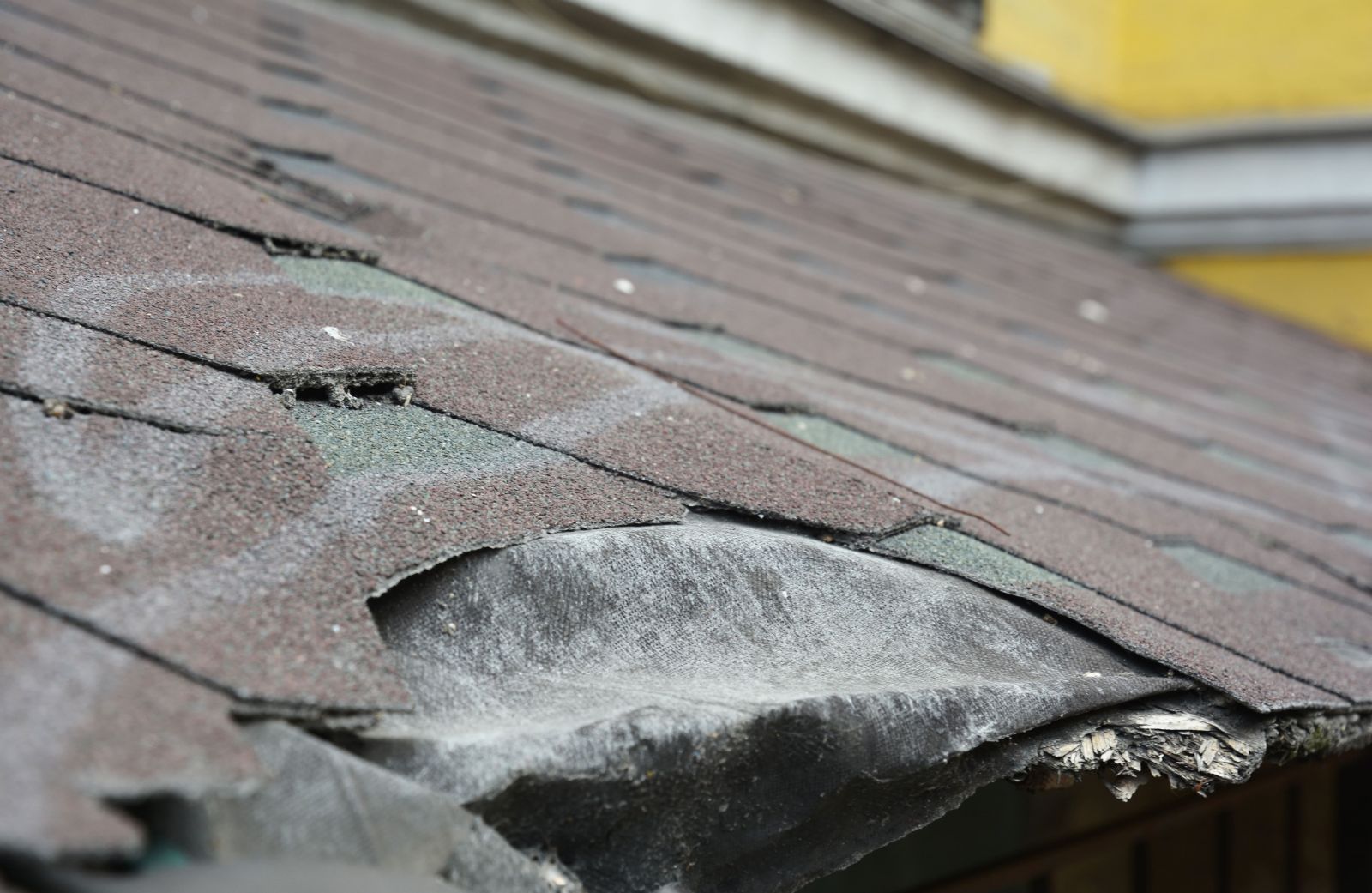 Bulldog Roofing Images