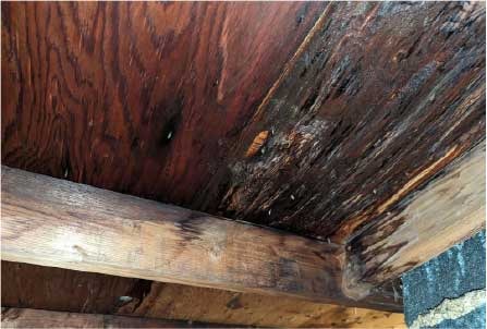 Interior damaged roof